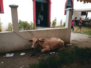 La enrama a la virgen del Carmen, en Tapotzingo.