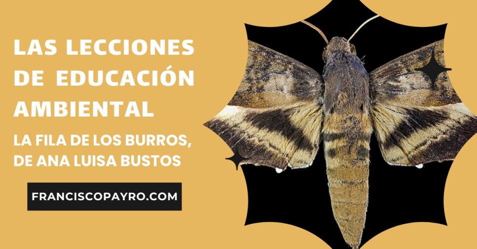 Las lecciones de educación ambiental.