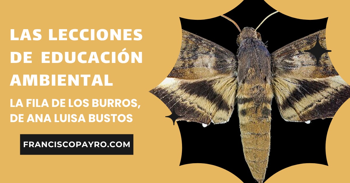 La educación ambiental 3